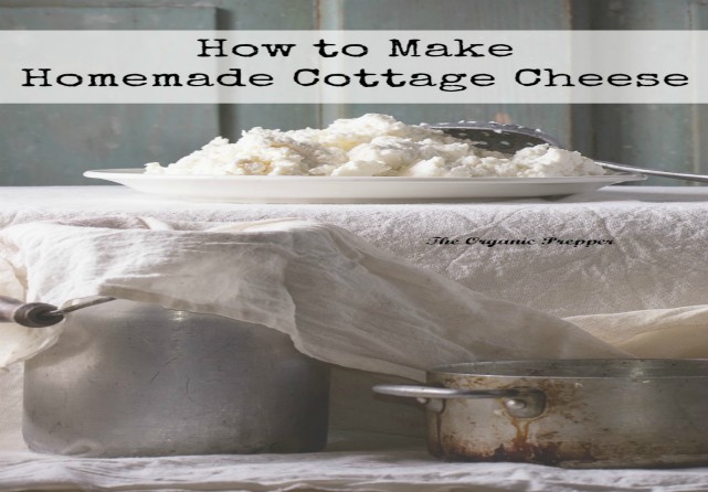 How-to-make-homemade-cottage-cheese - The Prepper Dome