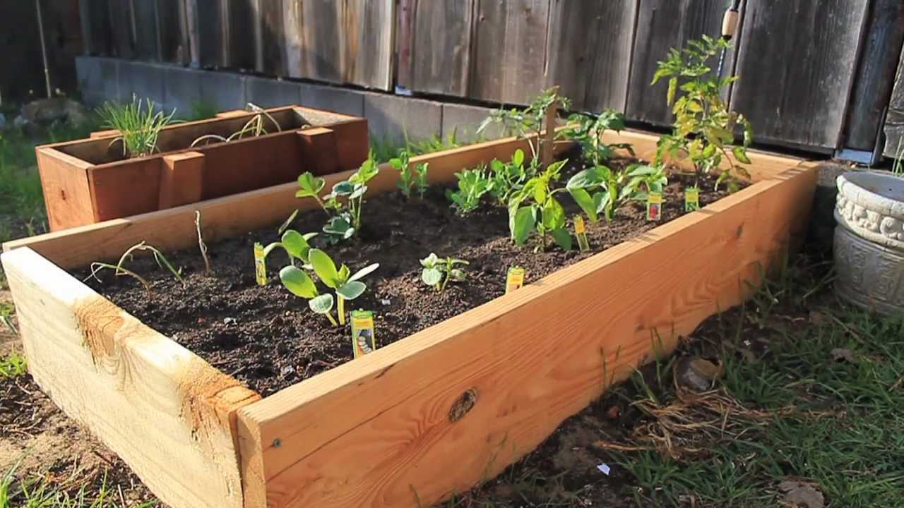 Tips For Preparing A Planting Bed – The Prepper Dome